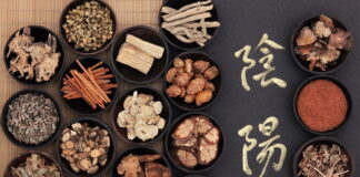 DONGUIBOGAM; Internal Bodily Elements 30. Uterus 胞 포 (5)