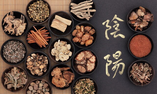 DONGUIBOGAM; Internal Bodily Elements 30. Uterus 胞 포 (5)