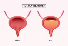 DONGUIBOGAM; Internal Bodily Elements 34. Urine 小便 소변