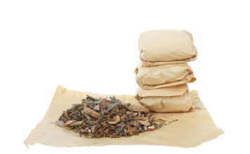 Caihu-Guozhi-Ganjiang-Tang Treats Various Shaoyang Deficiency