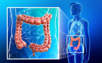 DONGUIBOGAM; Internal Bodily Elements 38. Feces 大便 대변-The Causes of Feces Disease
