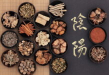 Decoding Formula Subtypes for Precision Herbal Prescriptions