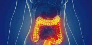 DONGUIBOGAM; Internal Bodily Elements 49. Feces (13) Stopping Intestinal Disorders: 70 Herbal Prescriptions and Acupuncture Treatments