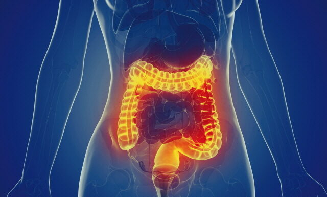 DONGUIBOGAM; Internal Bodily Elements 49. Feces (13) Stopping Intestinal Disorders: 70 Herbal Prescriptions and Acupuncture Treatments