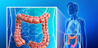 DONGUIBOGAM; Internal Bodily Elements 48. Feces 大便 대변 (12) Blocked Feces: Causes and Classical Treatments