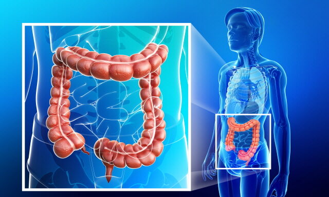 DONGUIBOGAM; Internal Bodily Elements 48. Feces 大便 대변 (12) Blocked Feces: Causes and Classical Treatments