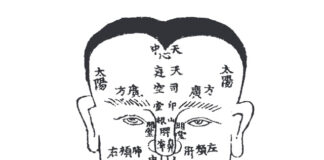 DONGUIBOGAM; External Bodily Elements-1. Head 頭-The Mind Lives in the Head: Ancient Korean Medicine’s Guide to Brain, Spirit, and Wind Disorders