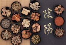 Ling Gui Zhu Gan Tang: The Core Formula for Water Toxin Patterns