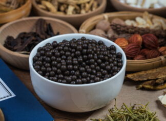 Bringing Herbal Medicine into Modern Clinical Practice