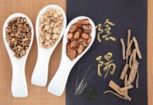 Jinshui Liujun Jian for Yin Deficiency and Phlegm Retention