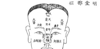 DONGUIBOGAM; External Bodily Elements-2. Face 面 얼굴 (1) What Facial Color, Heat, and Cold Reveal About Health