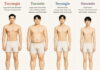 Understanding Exterior and Interior Disorders of the Taeyang Constitution